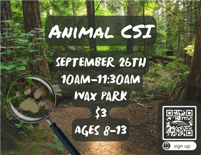 Animal CSI Flyer
